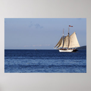 Sailboat Lake Michigan Poster
