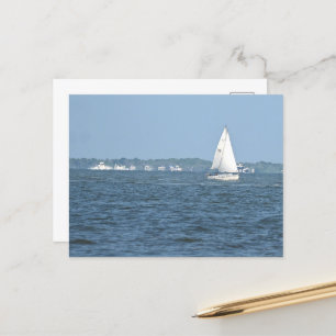 Sailboat Photo Postcard