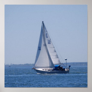 Sailboat Poster