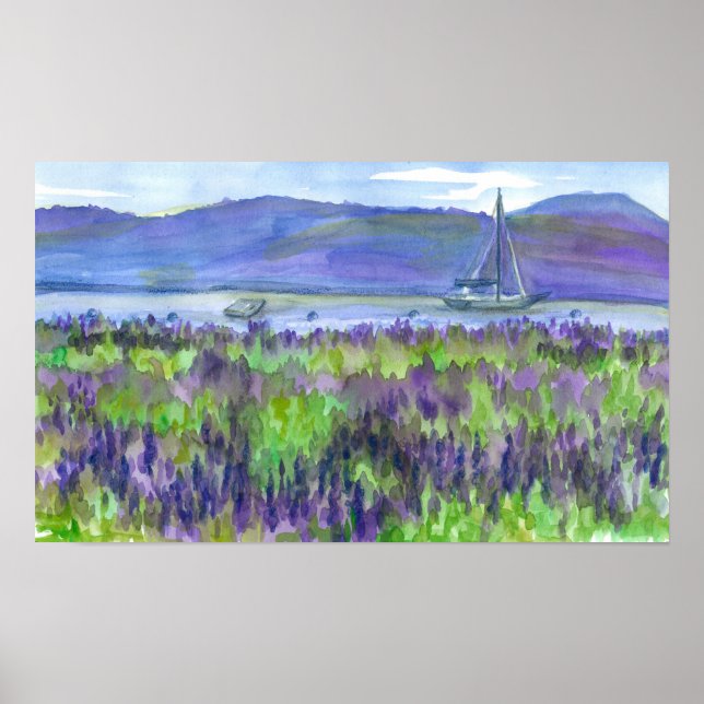 Sailboat Purple Lupines Watercolor Painting Poster (Front)