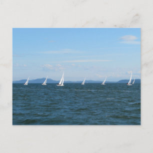 Sailboat Races Postcard