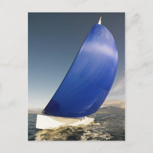 Sailboat Tipping In Wind Postcard