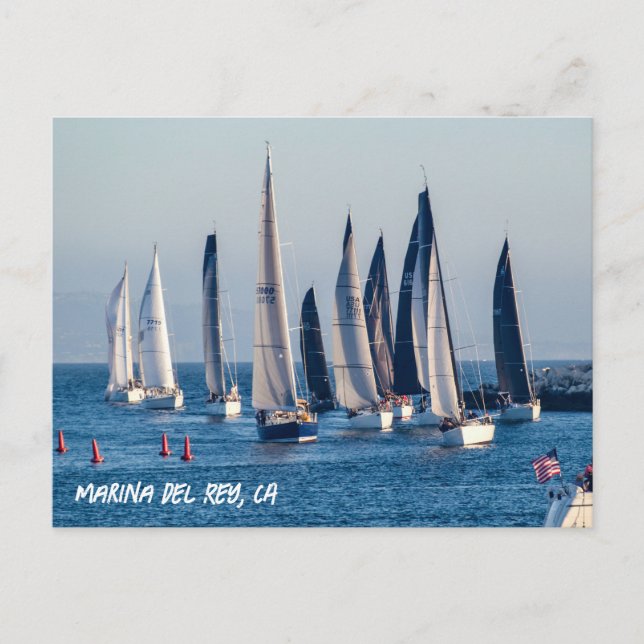 Sailboats Enter Main Channel - Marina Del Rey, CA Postcard (Front)