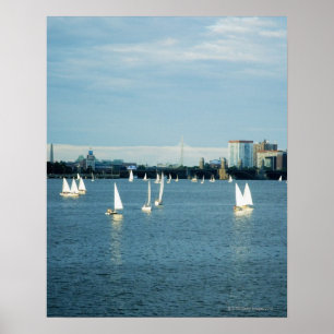 Sailboats in a river, Charles River, Boston, 2 Poster
