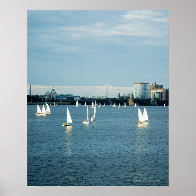 Sailboats in a river, Charles River, Boston, 2 Poster (Front)