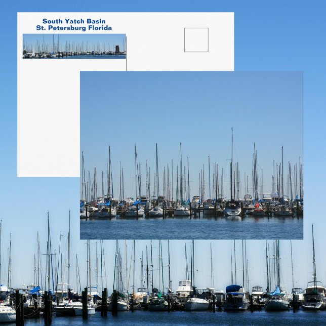 Sailboats in a Row St Petersburg FL Photographic Postcard (Creator Uploaded)