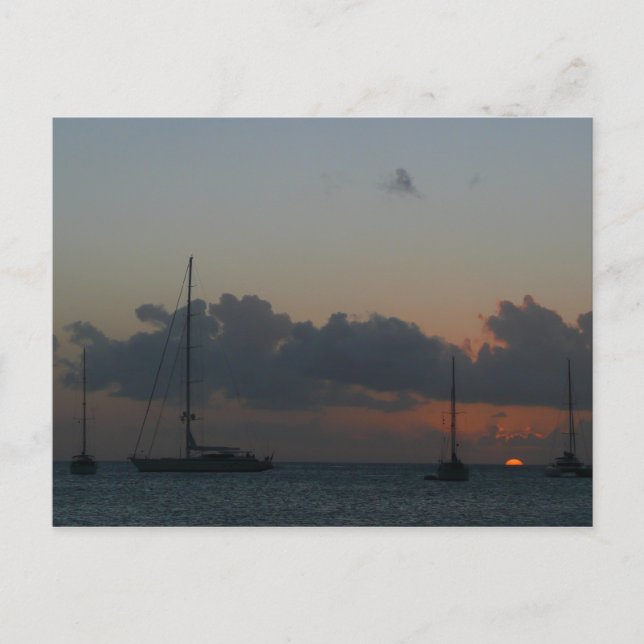 Sailboats in Sunset Tropical Seascape Postcard (Front)