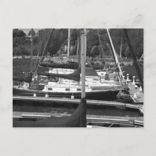 Sailboats Postcard