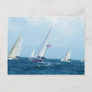 Sailboats Postcard