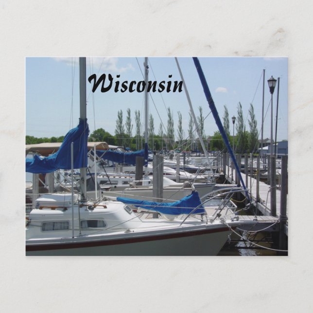 Sailboats Postcard (Front)