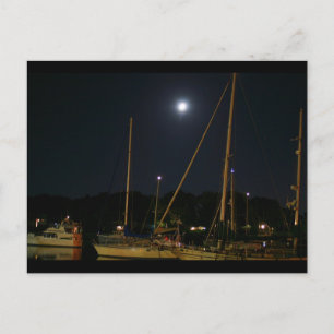 Sailboats Postcard