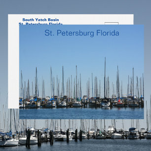 Sailboats St Petersburg Florida Photographic  Postcard