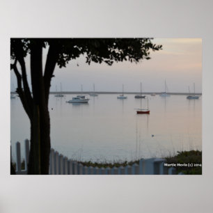 Sailboats Wake Poster