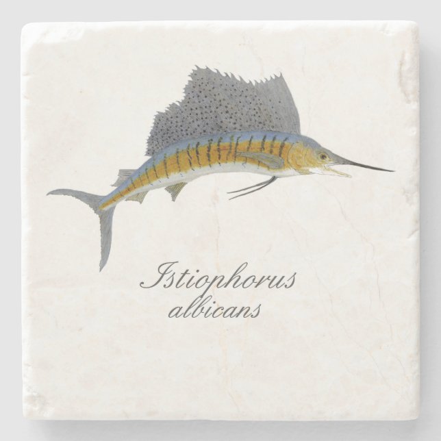 Sailfish Coaster (Front)