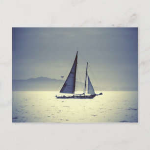 Sailing Away Postcard