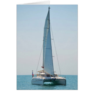 Sailing Catamaran Clara