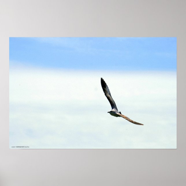 Sailing - Customised Poster (Front)