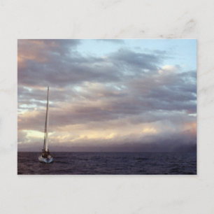 Sailing in Hawaii I Postcard