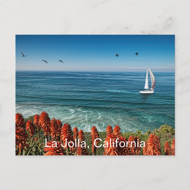 Sailing in La Jolla Postcard (Front)