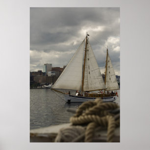 Sailing In The Harbour Print
