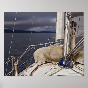 Sailing into a Storm - Fine Art Print