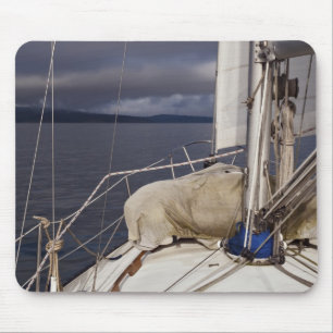 Sailing into a storm - Mousepad