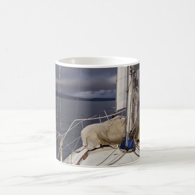 Sailing into Storm - Mug (Center)