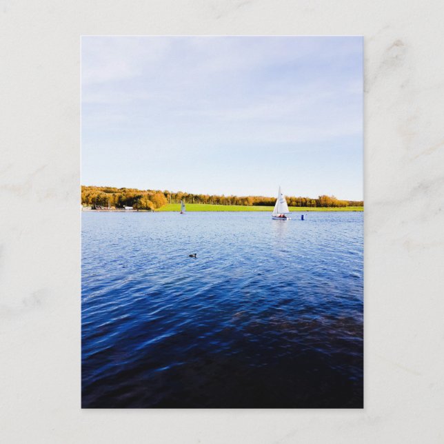 Sailing on Rother Valley Postcard (Front)