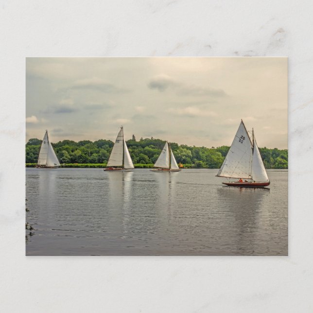 Sailing on Wroxham Broad. Postcard (Front)