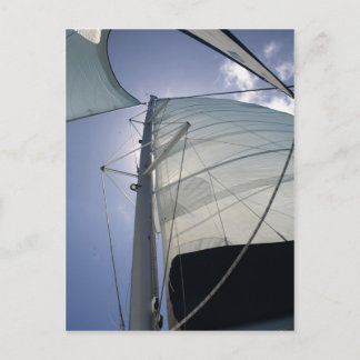 Sailing Postcard