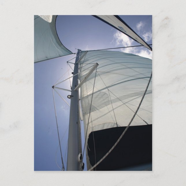 Sailing Postcard (Front)