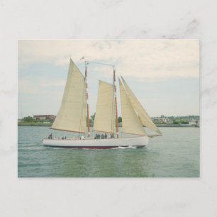 Sailing Sailboats Postcard