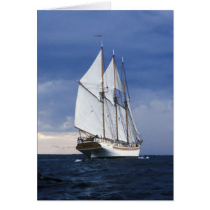 Sailing Ship On The Baltic Sea