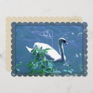 Sailing Swan Thank You Card