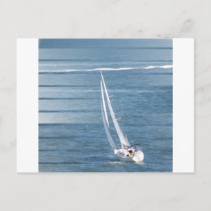 Sailing Wind Design Postcard