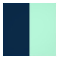 Sailor Blue and Mint