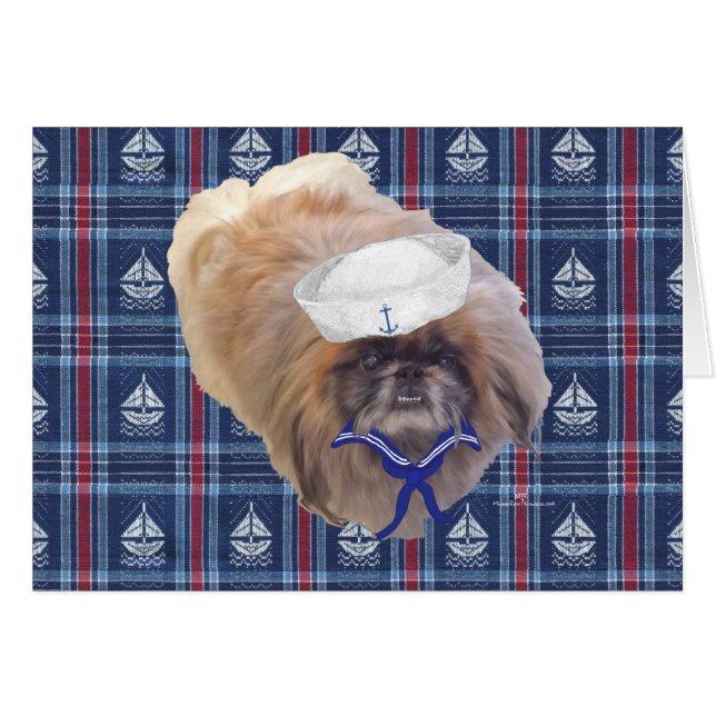 Sailor Pekingese (Front Horizontal)