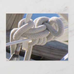 Sailor's Knot Postcard