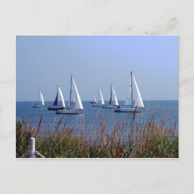 Sails on the Chesapeake Postcard (Front)