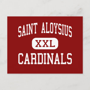 Saint Aloysius - Cardinals - High - Jersey City Postcard