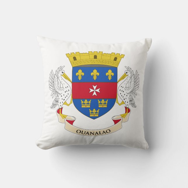 Saint Barthélemy Flag Cushion (Front)