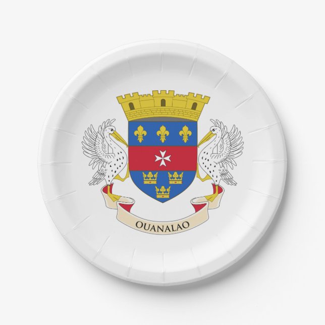 Saint Barthélemy Flag Paper Plate (Front)