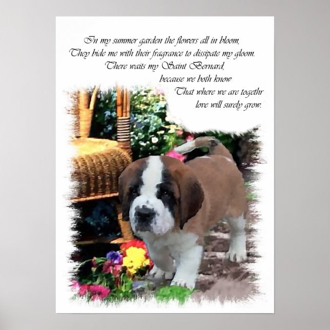 Saint Bernard Art Gifts Poster (Front)