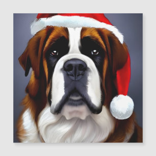 Saint Bernard Christmas