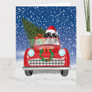 Saint Bernard Dog Driving Car In Snow Christmas Card