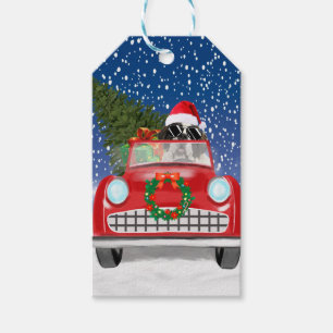 Saint Bernard Dog Driving Car In Snow Christmas Gift Tags