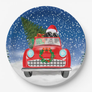Saint Bernard Dog Driving Car In Snow Christmas Paper Plate