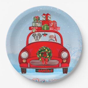 Saint Bernard Dog In Car With Santa Claus Paper Plate