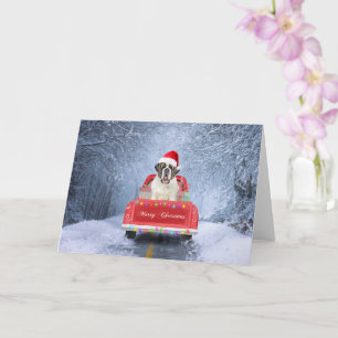 Saint Bernard Dog in Snow sitting Christmas Truck Card