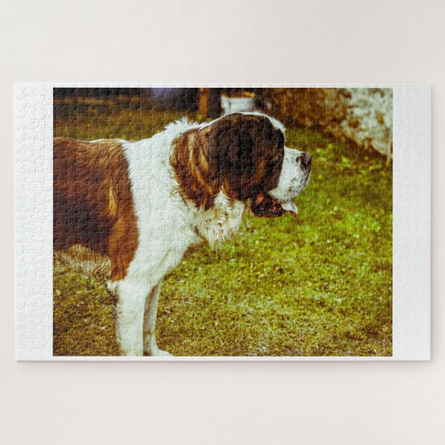 Saint Bernard Dog Jigsaws. Jigsaw Puzzle (Horizontal)